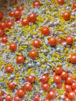 SPRINKLES PREMIUM 50GR - Imagen 25