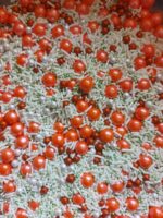 SPRINKLES PREMIUM 50GR - Imagen 19