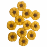 SET DE PASTILLAJE - Imagen 10